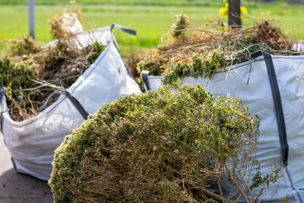 Best Dumpster Rental Services  in Saline, MI